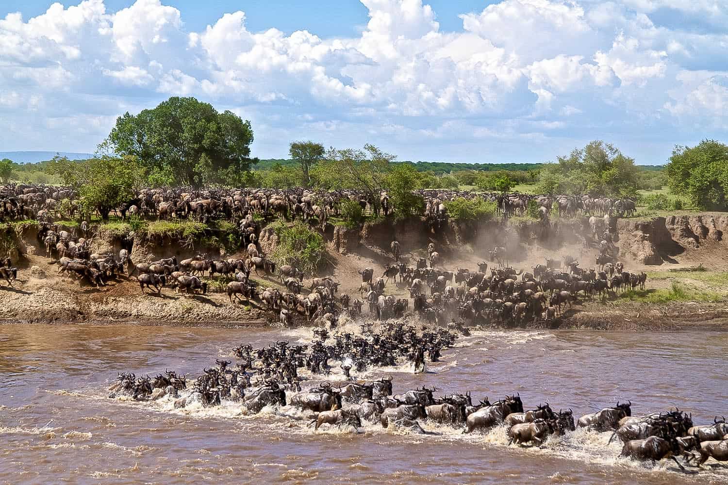 The Great Migration 2