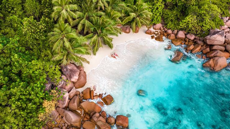 Wildlife Safari Meets Tropical Paradise for Romantic Honeymoon