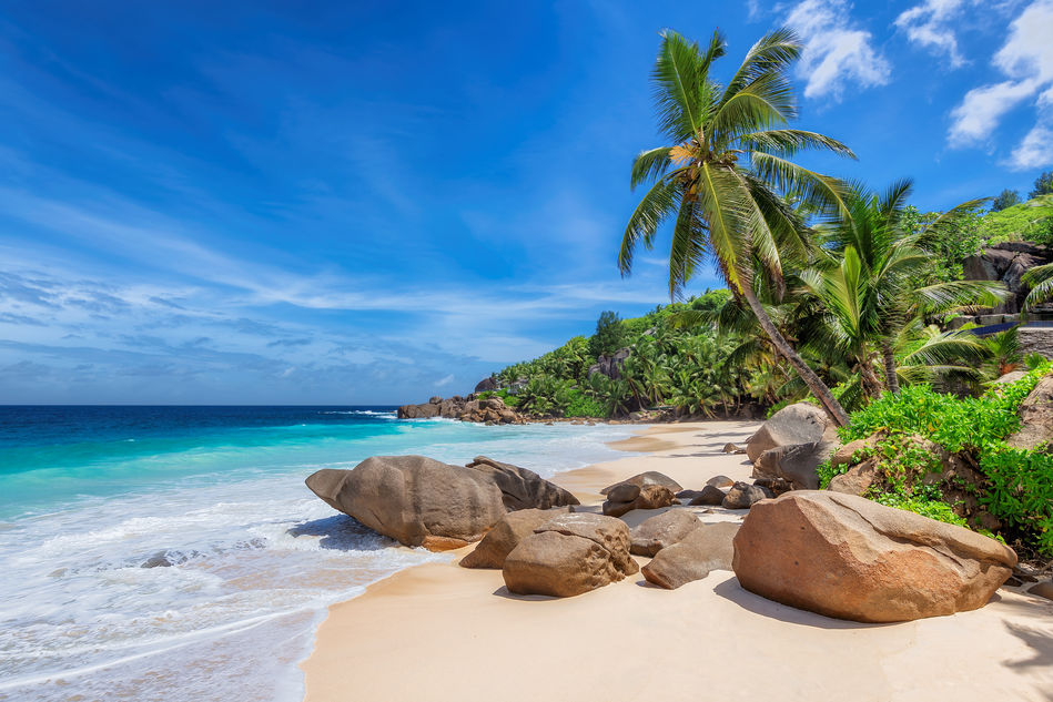 Romantic Safari and Tropical Paradise Honeymoon Experience