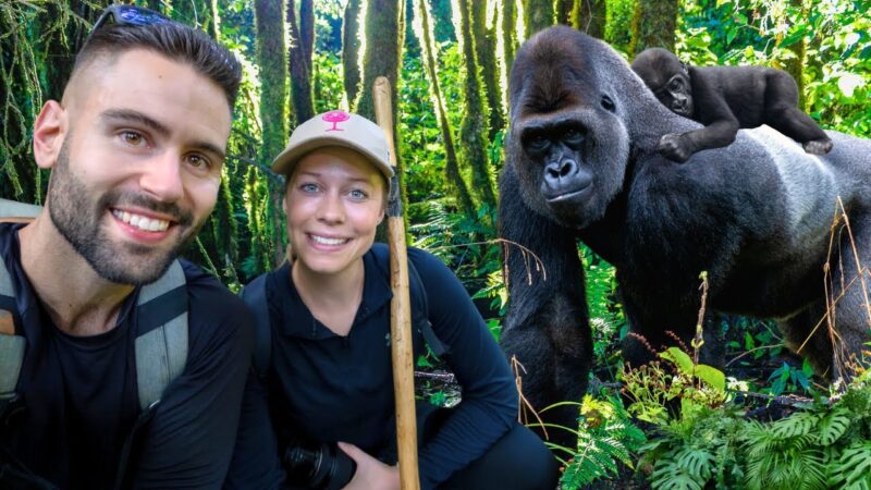 Luxury lodges near Bwindi Impenetrable National Park and Volcanoes National Park specialize in honeymoon experiences. Private cottages, panoramic forest views, outdoor bathtubs,