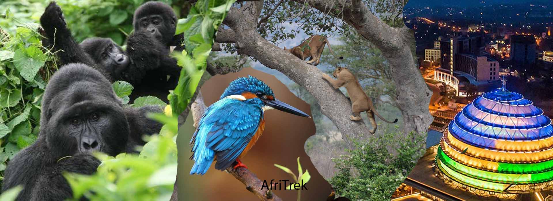 Uganda vs Rwanda Honeymoon Safari at a Glance