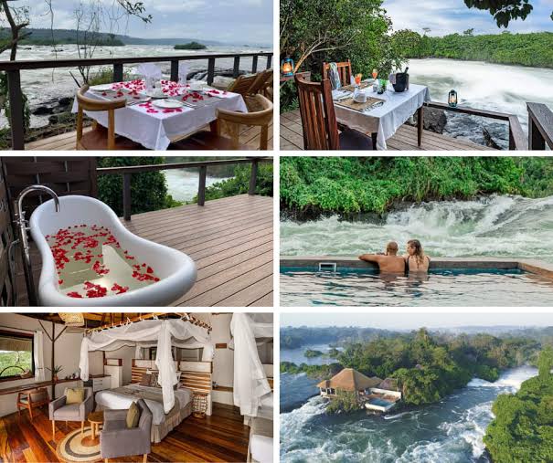 Romantic Uganda vs Rwanda Honeymoon Safari Experience