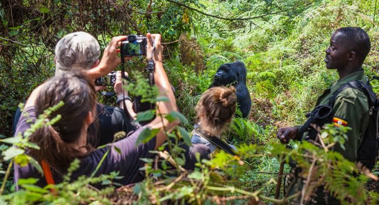 Romantic Uganda and Tanzania Honeymoon Safari Comparison