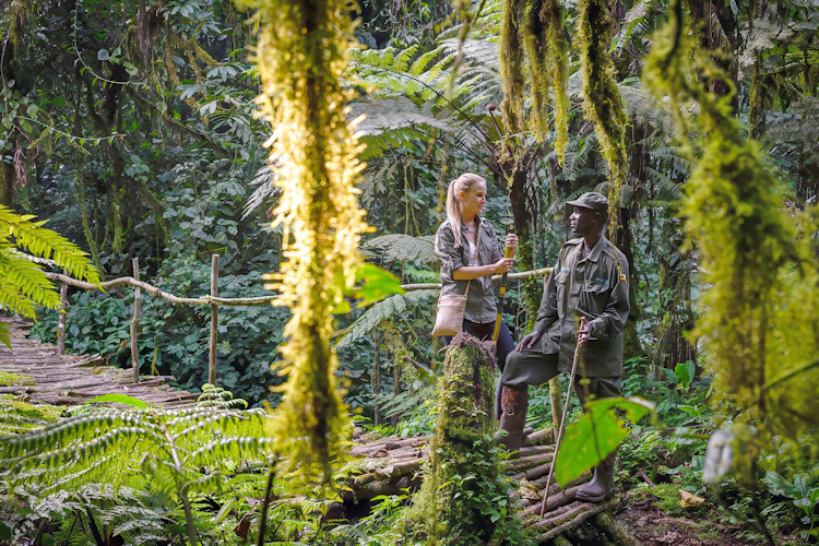 Uganda vs Tanzania Honeymoon Safari at a Glance