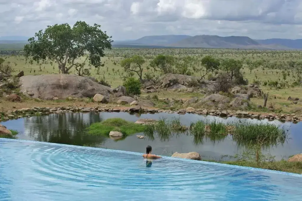 Luxury Uganda vs Tanzania Honeymoon Safari Experience