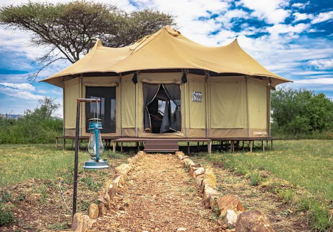 What Makes Luxury Safari Camps Different from Safari Lodges