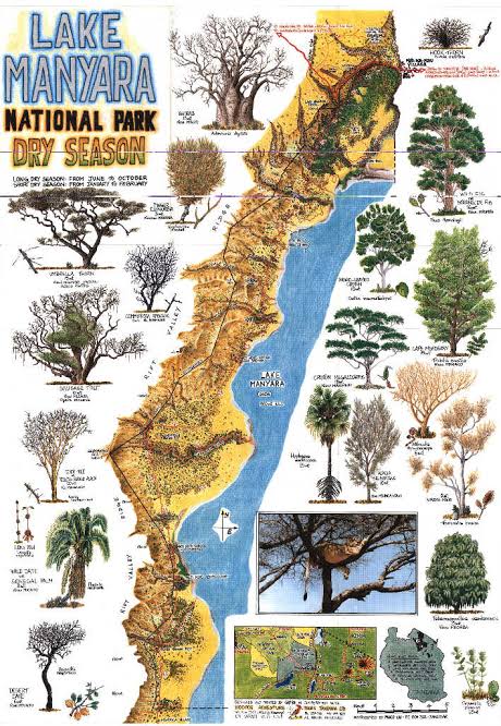 Scenic Landscape of Lake Manyara National Park