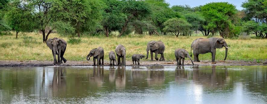 Location of Tarangire National Park