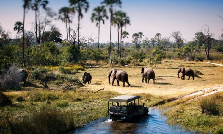 Where is Tarangire National Park in Tanzania