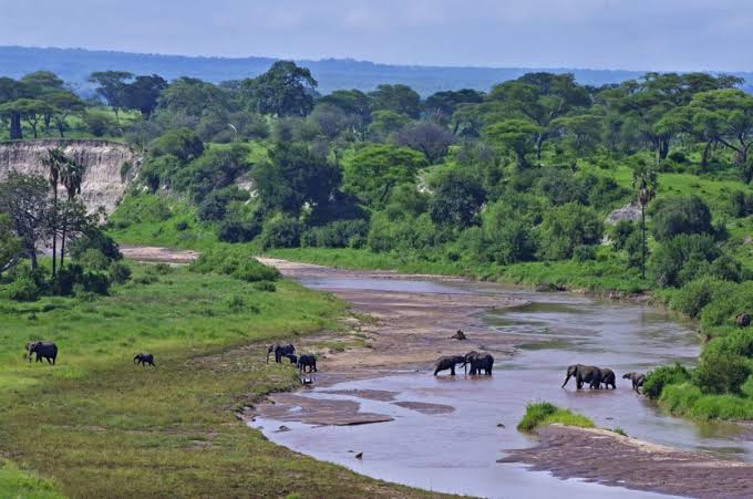 Map and Landscape of Tarangire National Park