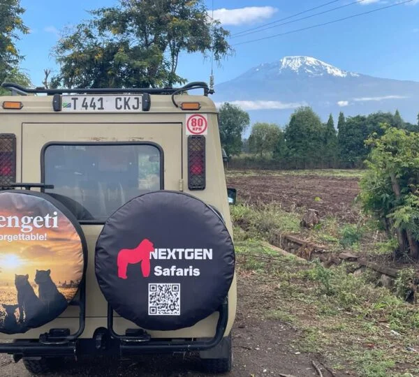 Nextgen Safari Branding Image